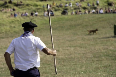 Todas las fotos del concurso de perros pastor del Artzai Eguna 2019