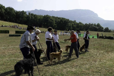 Todas las fotos del concurso de perros pastor del Artzai Eguna 2019