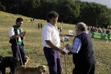 Todas las fotos del concurso de perros pastor del Artzai Eguna 2019