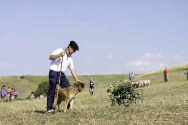 Todas las fotos del concurso de perros pastor del Artzai Eguna 2019