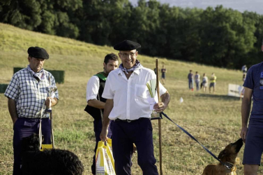 Todas las fotos del concurso de perros pastor del Artzai Eguna 2019