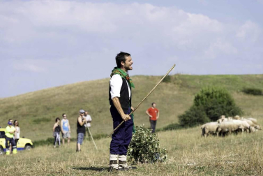 Todas las fotos del concurso de perros pastor del Artzai Eguna 2019