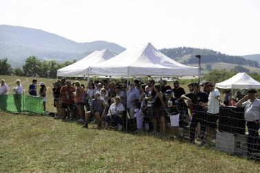 Todas las fotos del concurso de perros pastor del Artzai Eguna 2019