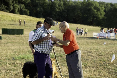 Todas las fotos del concurso de perros pastor del Artzai Eguna 2019