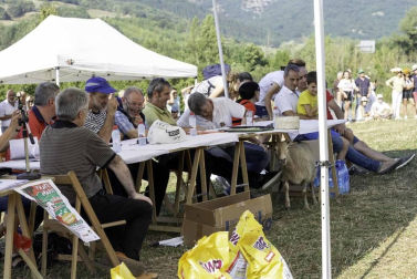 Todas las fotos del concurso de perros pastor del Artzai Eguna 2019