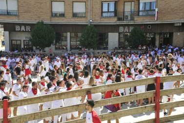 Todas las fotos del cohete de fiestas de Miranda de Arga 2019 en el Diario de Navarra