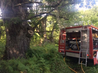 Este jueves se ha declarado un incendio en la sierra de Lóquiz, en el término municipal de Eulate, en cuyas labores de extinción han trabajado numeroros medios terrestres y aéreos