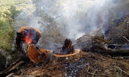 Este jueves se ha declarado un incendio en la sierra de Lóquiz, en el término municipal de Eulate, en cuyas labores de extinción han trabajado numeroros medios terrestres y aéreos