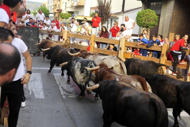 Fiestas de Peralta 2019