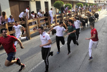 Fiestas de Peralta 2019