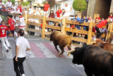 Fiestas de Peralta 2019