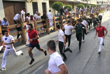 Fiestas de Peralta 2019