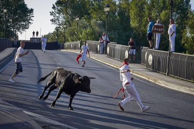 Fotos del primer encierro del puente de fiestas de Peralta, de la charanga 'Las Tetas' y del homenaje a los mayores
