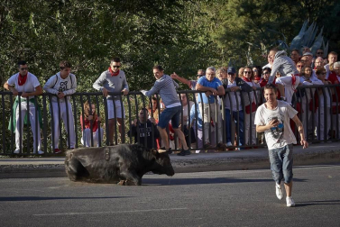 Fotos del primer encierro del puente de fiestas de Peralta y de la charanga 'Las Tetas'