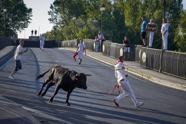 Fotos del primer encierro del puente de fiestas de Peralta y de la charanga 'Las Tetas'
