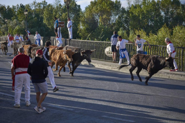 Fotos del primer encierro del puente de fiestas de Peralta y de la charanga 'Las Tetas'