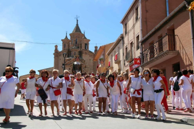 Todas las fotos del Día de la mujer de fiestas de Milagro en Diario de Navarra