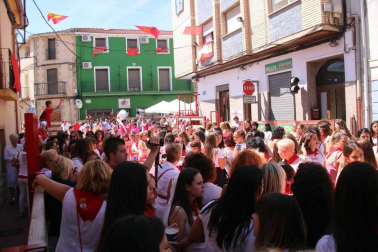 Todas las fotos del Día de la mujer de fiestas de Milagro en Diario de Navarra