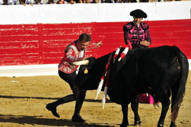 Todas las fotos del encierro del día 3 de septiembre de fiestas de Peralta, del sorteo de toros y de la corrida de rejones