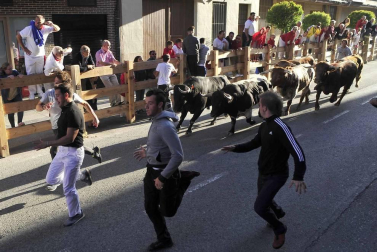 Todas las fotos del encierro del día 3 de septiembre de fiestas de Peralta y del sorteo de los toros