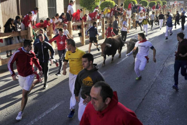 Todas las fotos del encierro del día 3 de septiembre de fiestas de Peralta y del sorteo de los toros