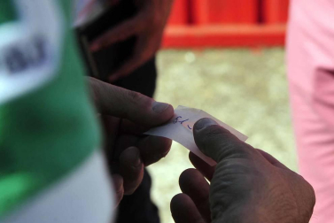 Todas las fotos del encierro del día 3 de septiembre de fiestas de Peralta y del sorteo de los toros