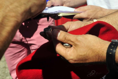 Todas las fotos del encierro del día 3 de septiembre de fiestas de Peralta y del sorteo de los toros