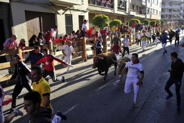 Todas las fotos del encierro del día 3 de septiembre de fiestas de Peralta y del sorteo de los toros