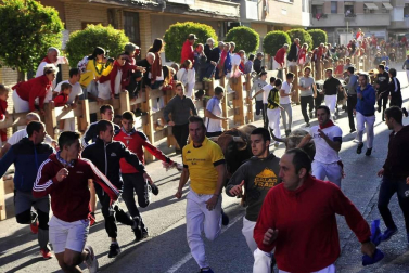 Todas las fotos del encierro del día 3 de septiembre de fiestas de Peralta y del sorteo de los toros