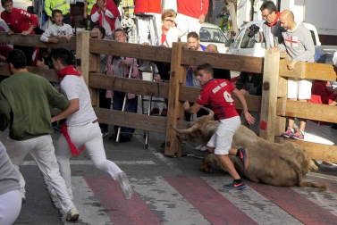 Todas las fotos del encierro y de la comparsa de gigantes y cabezudos de fiestas de Peralta 2019