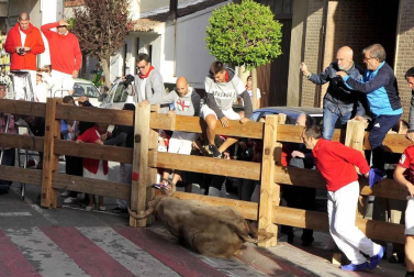 Todas las fotos del encierro y de la comparsa de gigantes y cabezudos de fiestas de Peralta 2019
