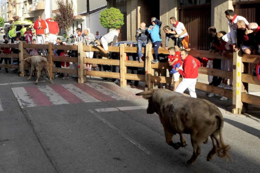 Todas las fotos del encierro y de la comparsa de gigantes y cabezudos de fiestas de Peralta 2019