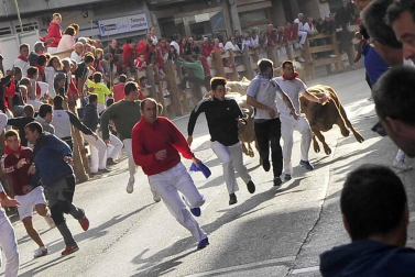Todas las fotos del encierro y de la comparsa de gigantes y cabezudos de fiestas de Peralta 2019
