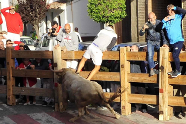 Todas las fotos del encierro y de la comparsa de gigantes y cabezudos de fiestas de Peralta 2019