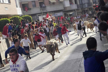 Todas las fotos del encierro y de la comparsa de gigantes y cabezudos de fiestas de Peralta 2019