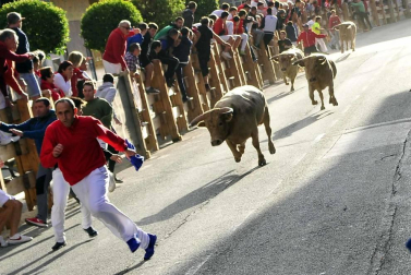 Todas las fotos del encierro y de la comparsa de gigantes y cabezudos de fiestas de Peralta 2019