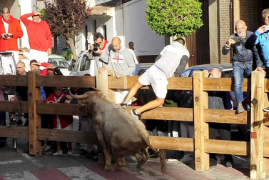 Todas las fotos del encierro y de la comparsa de gigantes y cabezudos de fiestas de Peralta 2019