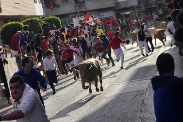 Todas las fotos del encierro y de la comparsa de gigantes y cabezudos de fiestas de Peralta 2019