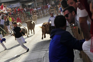 Todas las fotos del encierro y de la comparsa de gigantes y cabezudos de fiestas de Peralta 2019