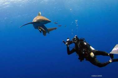 Con sus imágenes, Isaías Cruz busca sensibilizar sobre estos animales en peligro de extinción