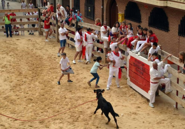 El Ayuntamiento infantil, con Álex Zubicaray, de 12 años, a la cabeza, presidió las actividades del Día del Niño.