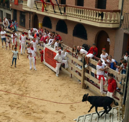 El Ayuntamiento infantil, con Álex Zubicaray, de 12 años, a la cabeza, presidió las actividades del Día del Niño.