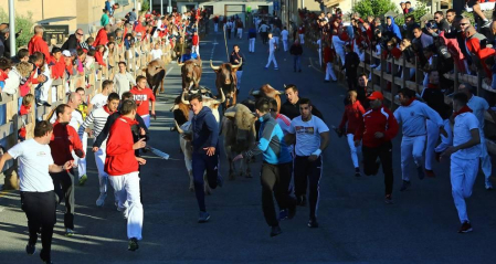 Fotos de fiestas de Sangüesa 2019