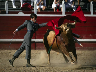 Galería de imágenes de la corrida de toros del 12 de septiembre en las fiestas de Sangüesa.