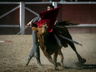 Galería de imágenes de la corrida de toros del 12 de septiembre en las fiestas de Sangüesa.