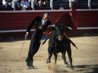Galería de imágenes de la corrida de toros del 12 de septiembre en las fiestas de Sangüesa.