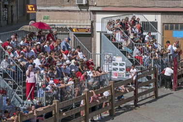Fotos de las fiestas de Lodosa del día de 13 septiembre.