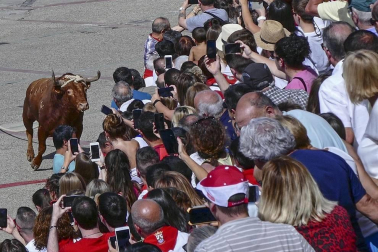 Fotos de las fiestas de Lodosa del día de 13 septiembre.