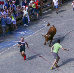 Fotos de las fiestas de Lodosa del día de 13 septiembre.