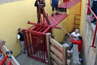 Fotos de las fiestas de Lodosa del día de 13 septiembre.